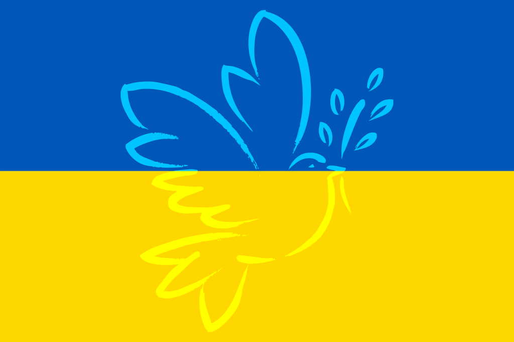 Haltung der BSR zum Ukrainekrieg